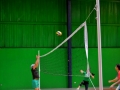 DSC_0896 (800x522)