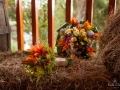 karlacsphotography.com-2-44-800x533