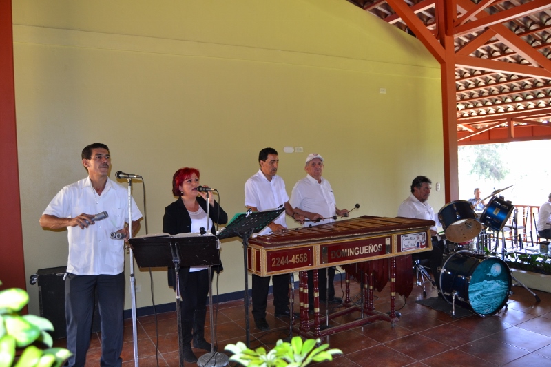 DSC_0870 (800x533)