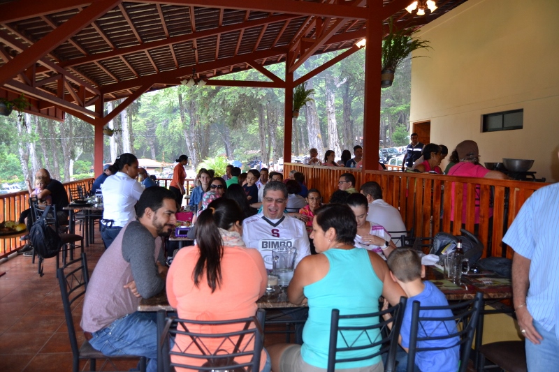DSC_0922 (800x533)